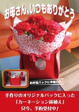 ２０２０母の日カーネーション鉢植えバック－ポスター作ってみました♪｜「フルールアベニューフォレット昭和店」　（北海道函館市の花キューピット加盟店 花屋）のブログ